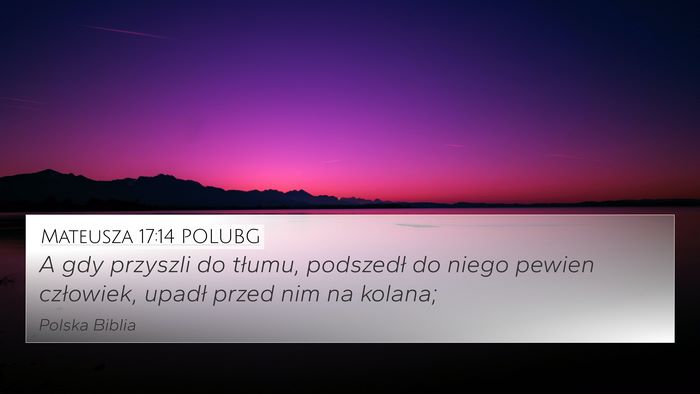 Mateusza 17:14 POLUBG Bible Verse Image