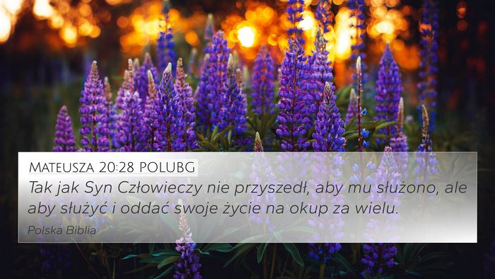 Mateusza 20:28 POLUBG Bible Verse Image