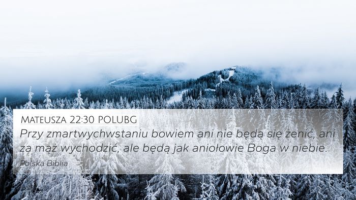 Mateusza 22:30 POLUBG Bible Verse Image