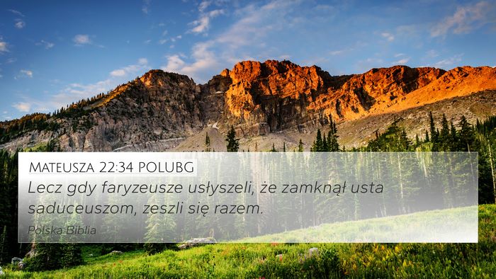 Mateusza 22:34 POLUBG Bible Verse Image