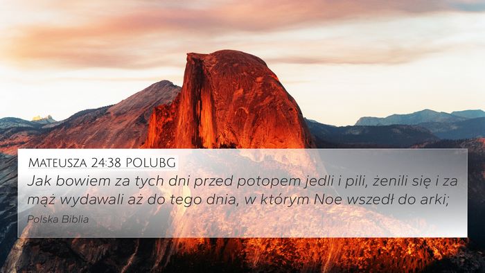 Mateusza 24:38 POLUBG Bible Verse Image