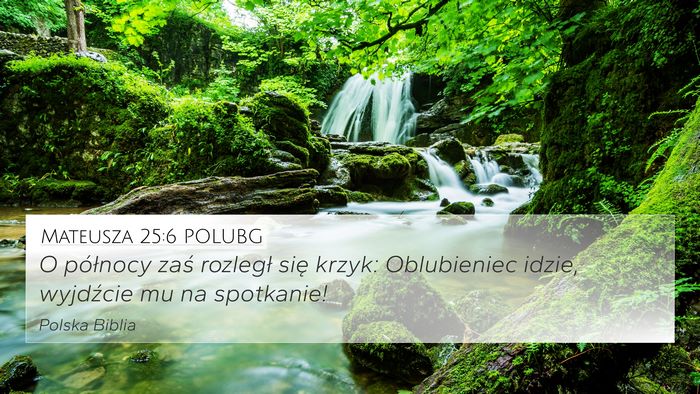 Mateusza 25:6 POLUBG Bible Verse Image