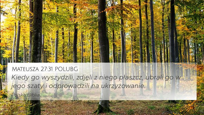 Mateusza 27:31 POLUBG Bible Verse Image