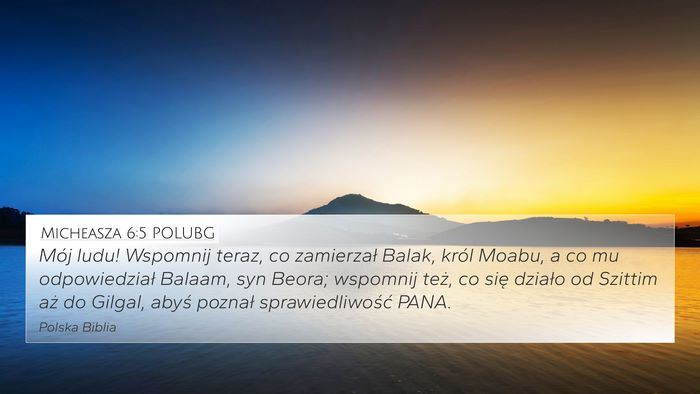 Micheasza 6:5 POLUBG Bible Verse Image