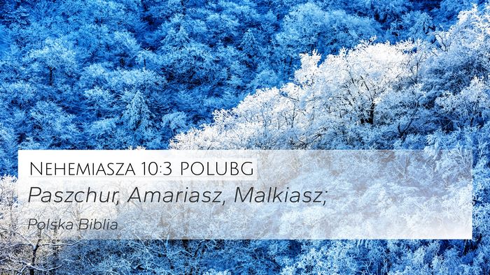 Nehemiasza 10:3 POLUBG 4K Wallpaper - Paszchur, Amariasz, - 4K Wallpaper Bible Verse