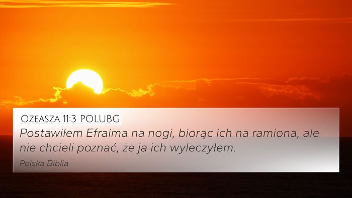 Ozeasza 11:3 POLUBG 4K Wallpaper - Postawiłem Efraima na nogi, biorąc ich na - 4K Wallpaper Bible Verse