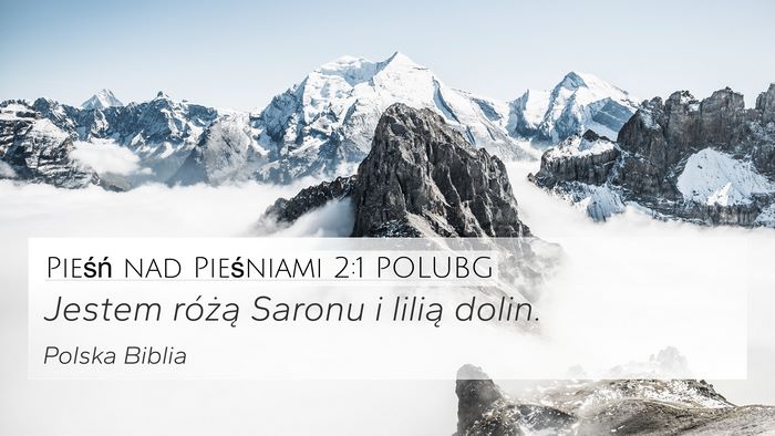 Pieśń nad Pieśniami 2:1 POLUBG 4K Wallpaper - Jestem różą Saronu i lilią - 4K Wallpaper Bible Verse