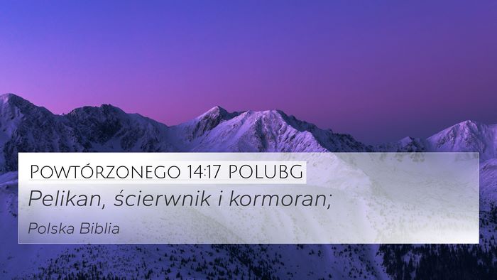 Powtórzonego 14:17 POLUBG 4K Wallpaper - Pelikan, ścierwnik i - 4K Wallpaper Bible Verse