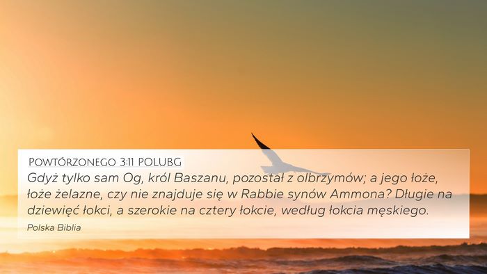Powtórzonego 3:11 POLUBG 4K Wallpaper - Gdyż tylko sam Og, król Baszanu, pozostał z - 4K Wallpaper Bible Verse