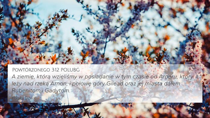 Powtórzonego 3:12 POLUBG Bible Verse Image