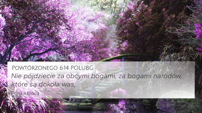 Powtórzonego 6:14 POLUBG Bible Verse Image