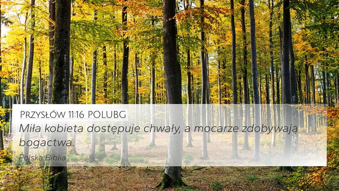Przysłów 11:16 POLUBG 4K Wallpaper - Miła kobieta dostępuje chwały, a mocarze - 4K Wallpaper Bible Verse