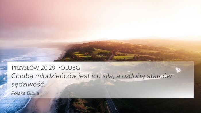 Przysłów 20:29 POLUBG Bible Verse Image