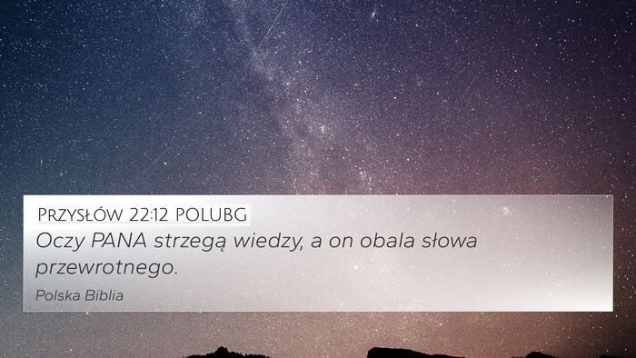 Przysłów 22:12 POLUBG 4K Wallpaper - Oczy PANA strzegą wiedzy, a on obala słowa - 4K Wallpaper Bible Verse