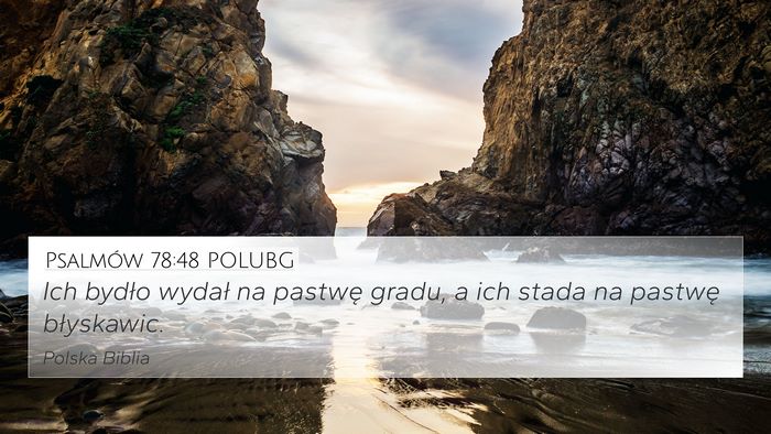 Psalmów 78:48 POLUBG 4K Wallpaper - Ich bydło wydał na pastwę gradu, a ich stada - 4K Wallpaper Bible Verse