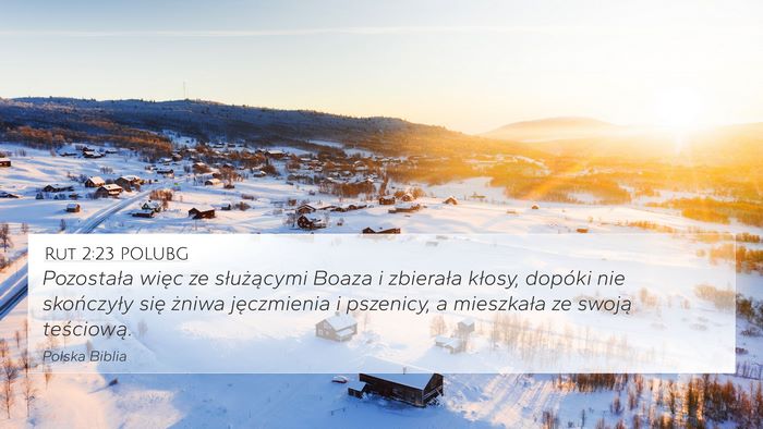 Rut 2:23 POLUBG 4K Wallpaper - Pozostała więc ze służącymi Boaza i - 4K Wallpaper Bible Verse
