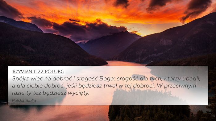 Rzymian 11:22 POLUBG Bible Verse Image