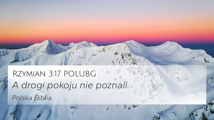 Rzymian 3:17 POLUBG Bible Verse Image