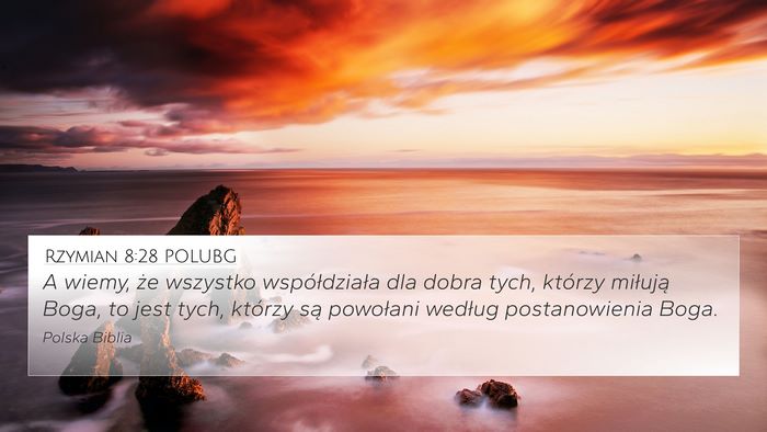 Rzymian 8:28 POLUBG Bible Verse Image