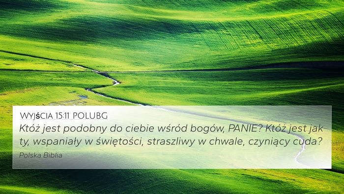 Wyjścia 15:11 POLUBG Bible Verse Image