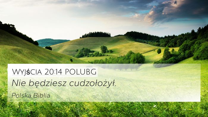 Wyjścia 20:14 POLUBG Bible Verse Image