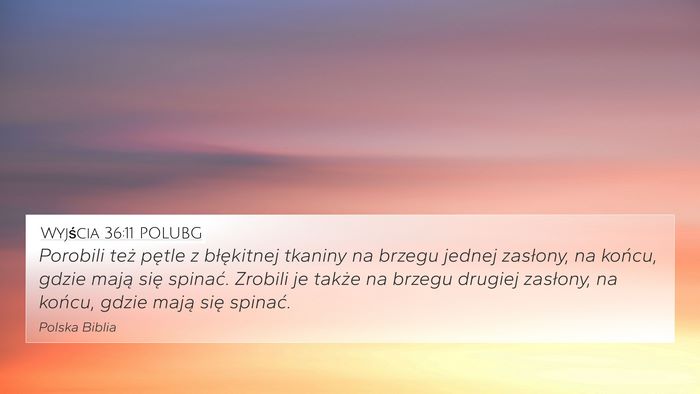 Wyjścia 36:11 POLUBG Bible Verse Image