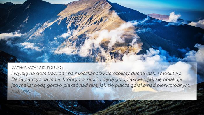 Zachariasza 12:10 POLUBG Bible Verse Image