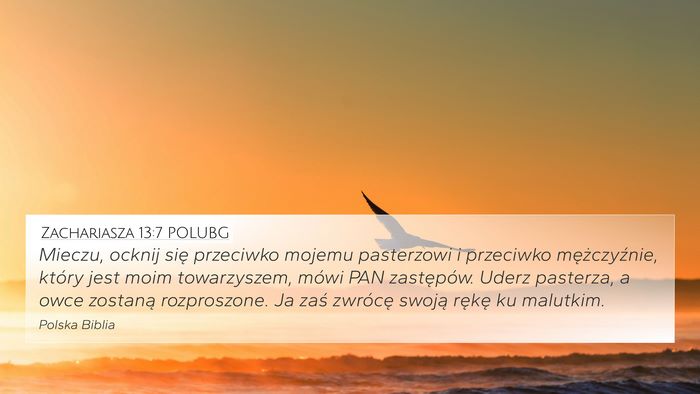 Zachariasza 13:7 POLUBG Bible Verse Image