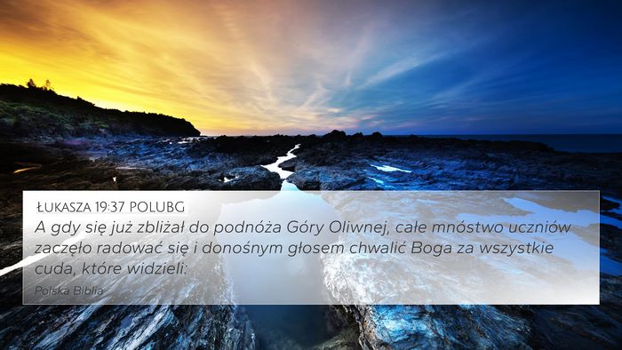 Łukasza 19:37 POLUBG Bible Verse Image