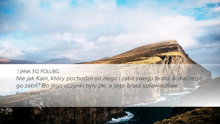 1 Jana 3:12 POLUBG Bible Verse Image