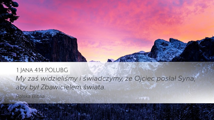 1 Jana 4:14 POLUBG Bible Verse Image
