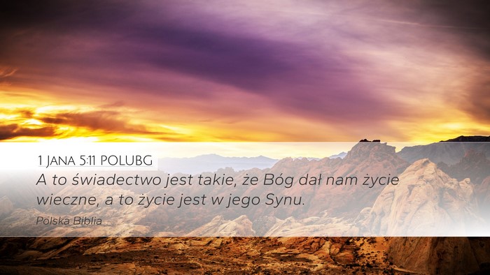 1 Jana 5:11 POLUBG Bible Verse Image