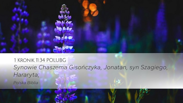 1 Kronik 11:34 POLUBG Bible Verse Image