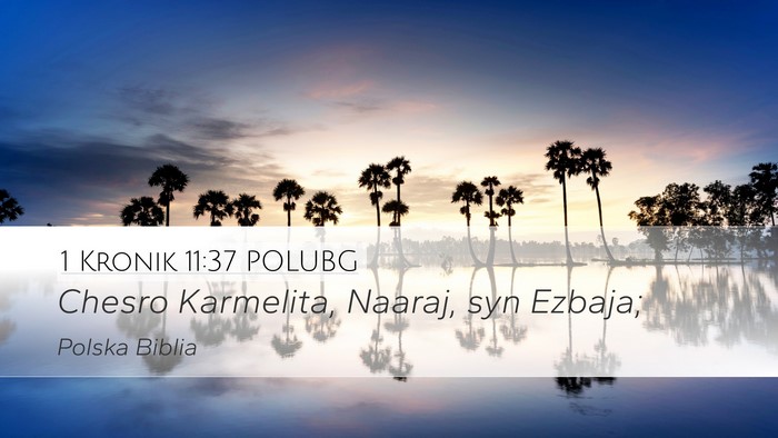 1 Kronik 11:37 POLUBG Bible Verse Image