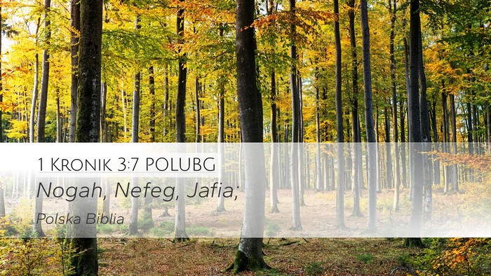 1 Kronik 3:7 POLUBG Desktop Wallpaper - Nogah, Nefeg, - Desktop Bible Verse Wallpaper