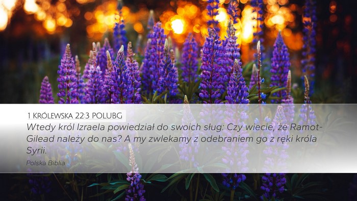 1 Królewska 22:3 POLUBG Bible Verse Image