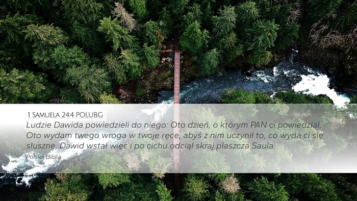 1 Samuela 24:4 POLUBG Bible Verse Image