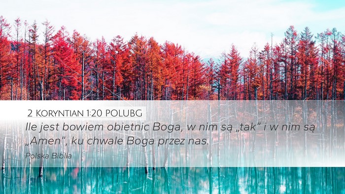 2 Koryntian 1:20 POLUBG Bible Verse Image