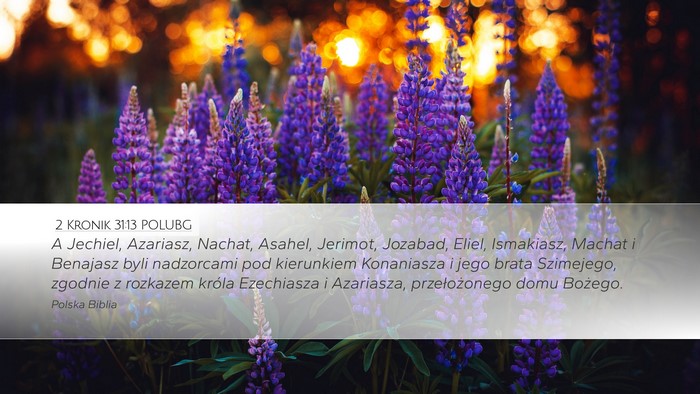 2 Kronik 31:13 POLUBG Bible Verse Image