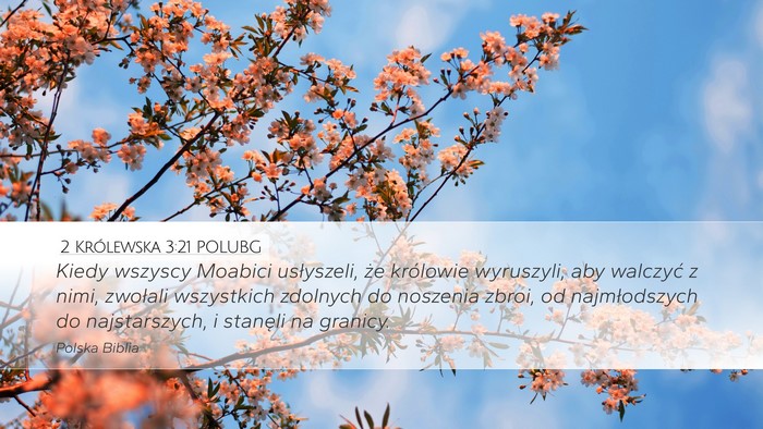 2 Królewska 3:21 POLUBG Desktop Wallpaper - Kiedy wszyscy Moabici usłyszeli, że królowie - Desktop Bible Verse Wallpaper