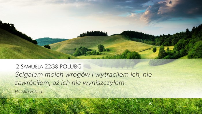 2 Samuela 22:38 POLUBG Desktop Wallpaper - Ścigałem moich wrogów i wytraciłem ich, nie - Desktop Bible Verse Wallpaper