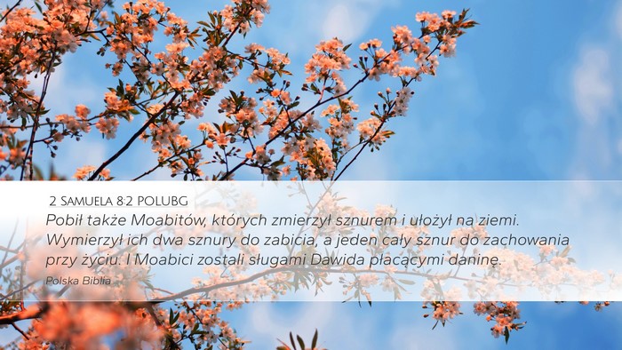 2 Samuela 8:2 POLUBG Bible Verse Image