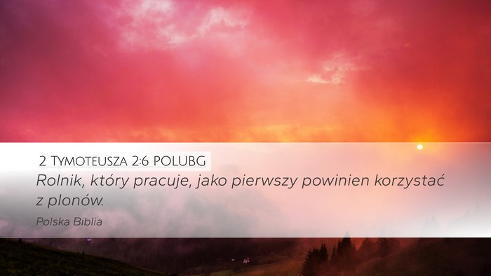 2 Tymoteusza 2:6 POLUBG Desktop Wallpaper - Rolnik, który pracuje, jako pierwszy powinien - Desktop Bible Verse Wallpaper