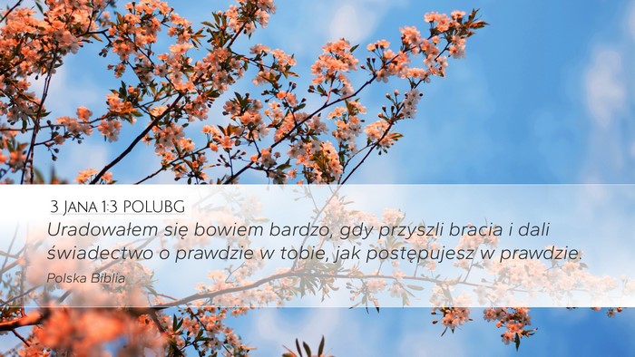 3 Jana 1:3 POLUBG Bible Verse Image