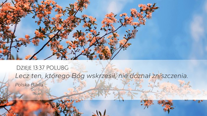 Dzieje 13:37 POLUBG Bible Verse Image