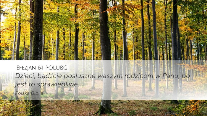 Efezjan 6:1 POLUBG Bible Verse Image