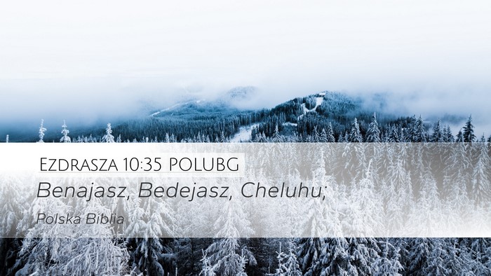 Ezdrasza 10:35 POLUBG Desktop Wallpaper - Benajasz, Bedejasz, - Desktop Bible Verse Wallpaper
