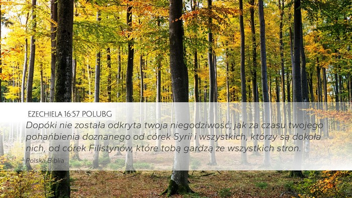 Ezechiela 16:57 POLUBG Bible Verse Image