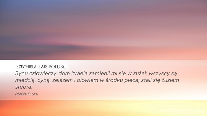 Ezechiela 22:18 POLUBG Bible Verse Image