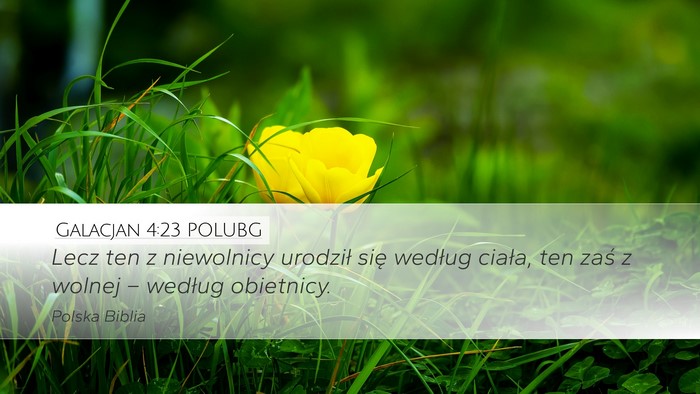 Galacjan 4:23 POLUBG Bible Verse Image